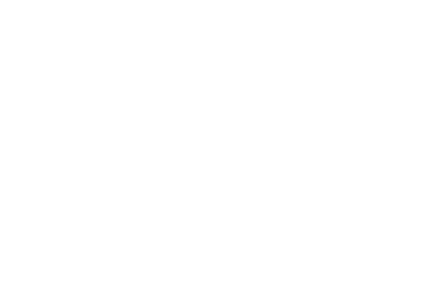 nordic-sauna-stories-logotyp-vit